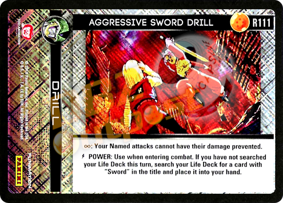 R111 Aggressive Sword Drill Foil